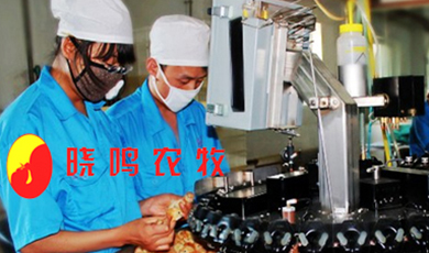 寧夏曉鳴農牧股份